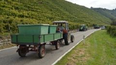 Heroicviticulture