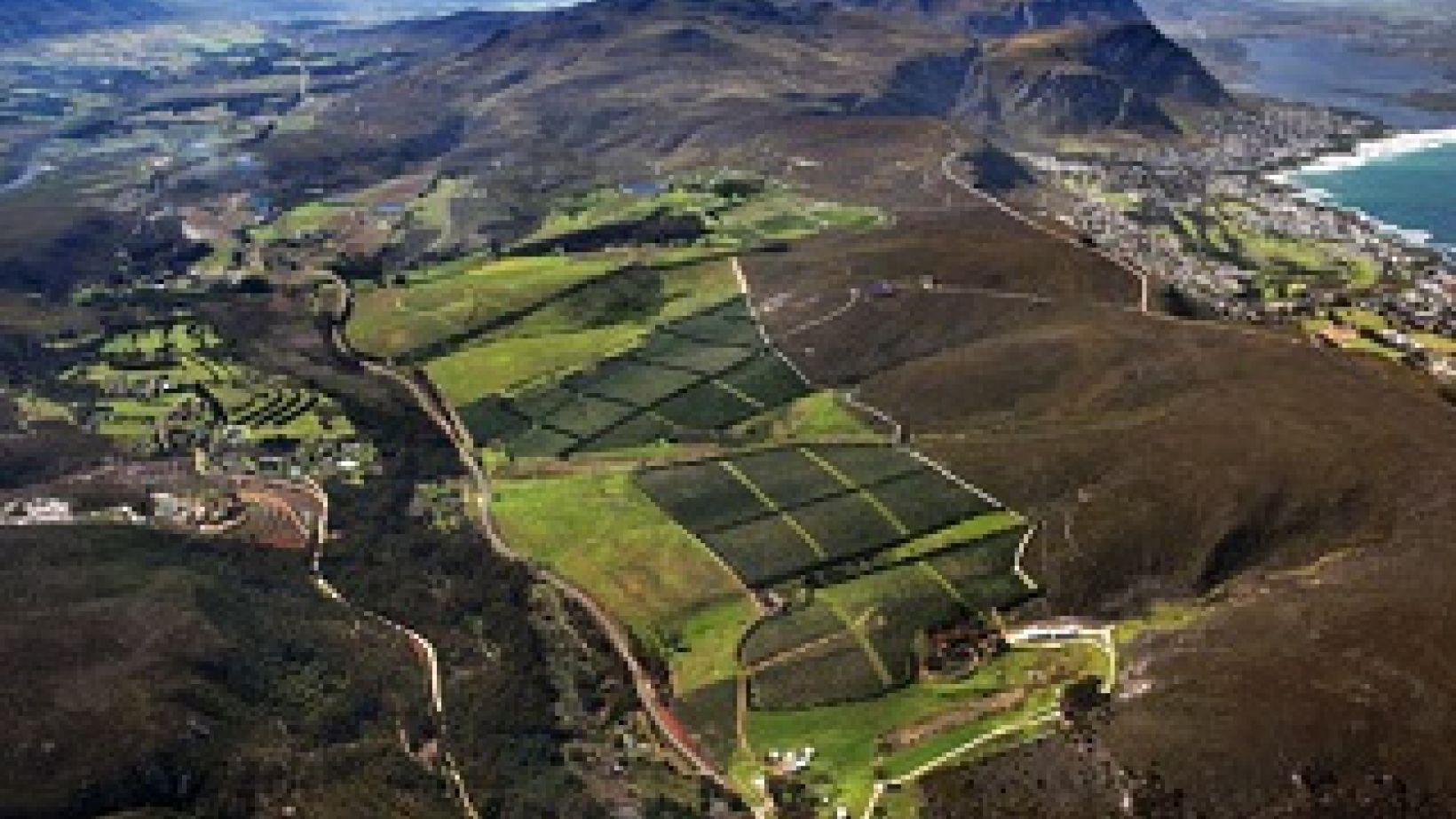 Hemelenaarde cropped