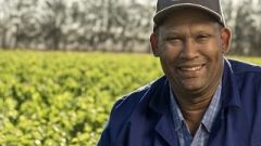 Hermanus klein