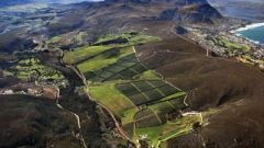 Hemelenaarde cropped