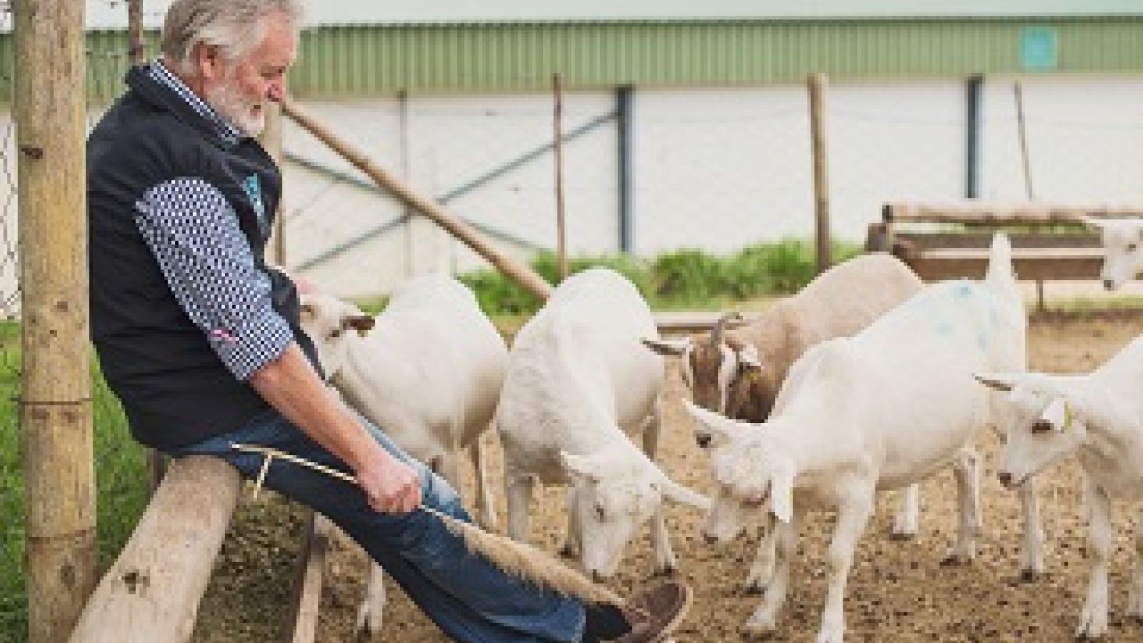 Farmer of the Year 2017