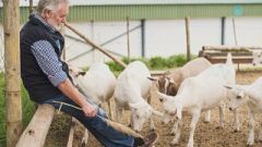 Farmer of the Year 2017