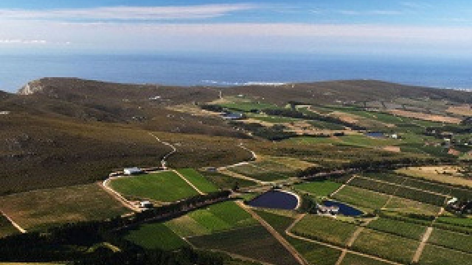 Hermanus cropped