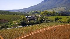 Tokara cropped