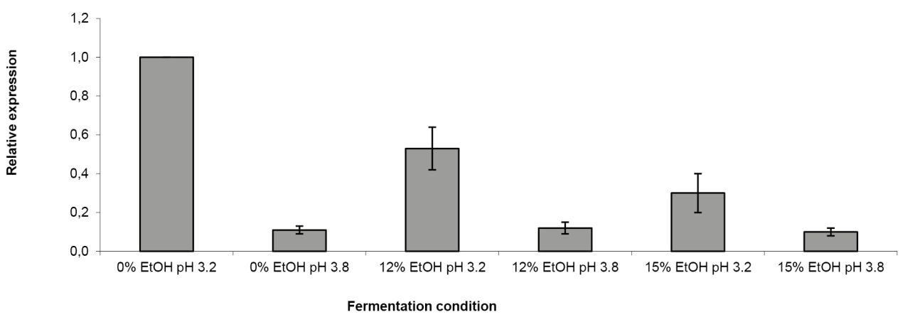 Malolactic figure1
