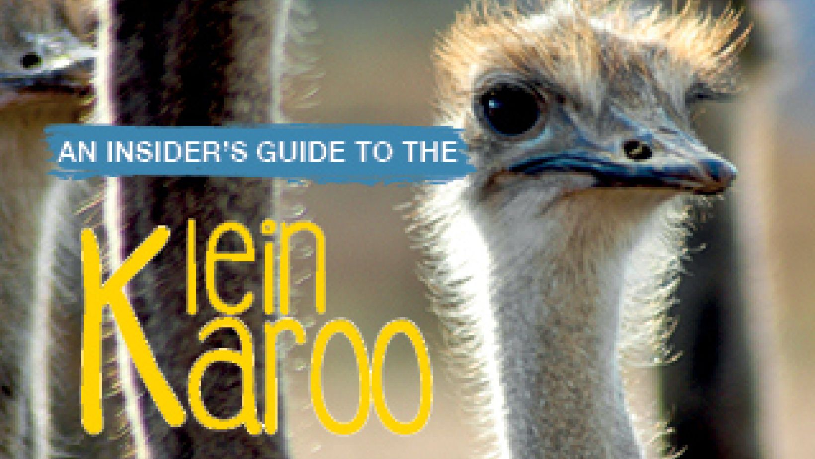 K Lein Karoo1