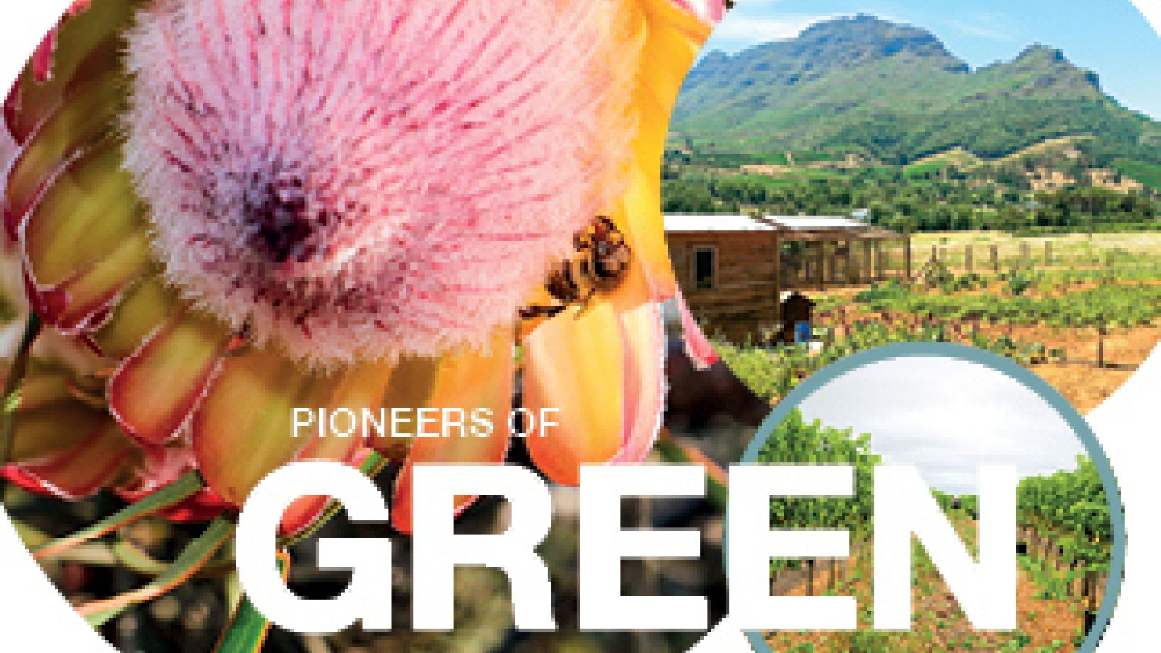 Pioneers of Green Innovation