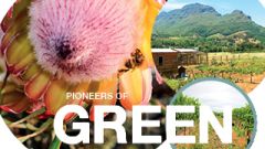 Pioneers of Green Innovation