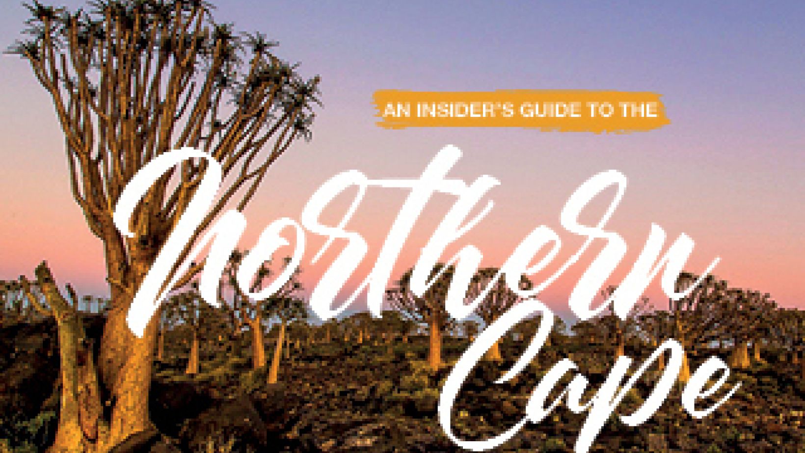 Insiders Guide