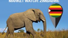 Market Watch1