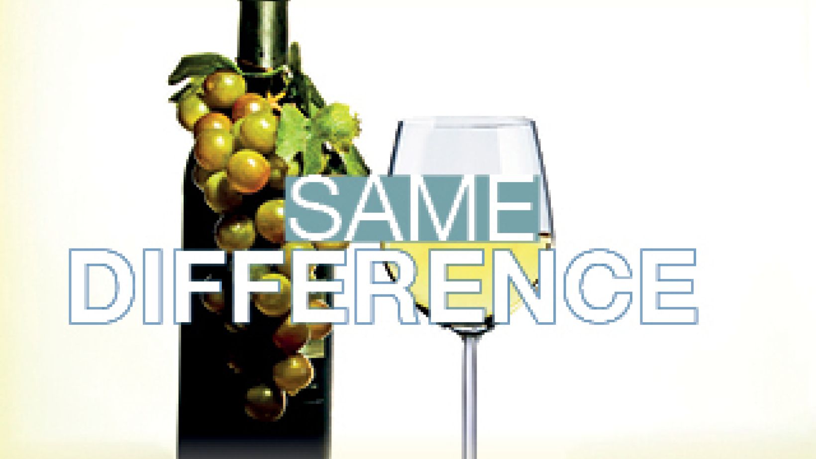 Same Difference