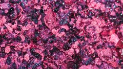 Phenolic