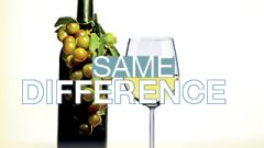 Same Difference