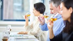 WSET Wine Tasting