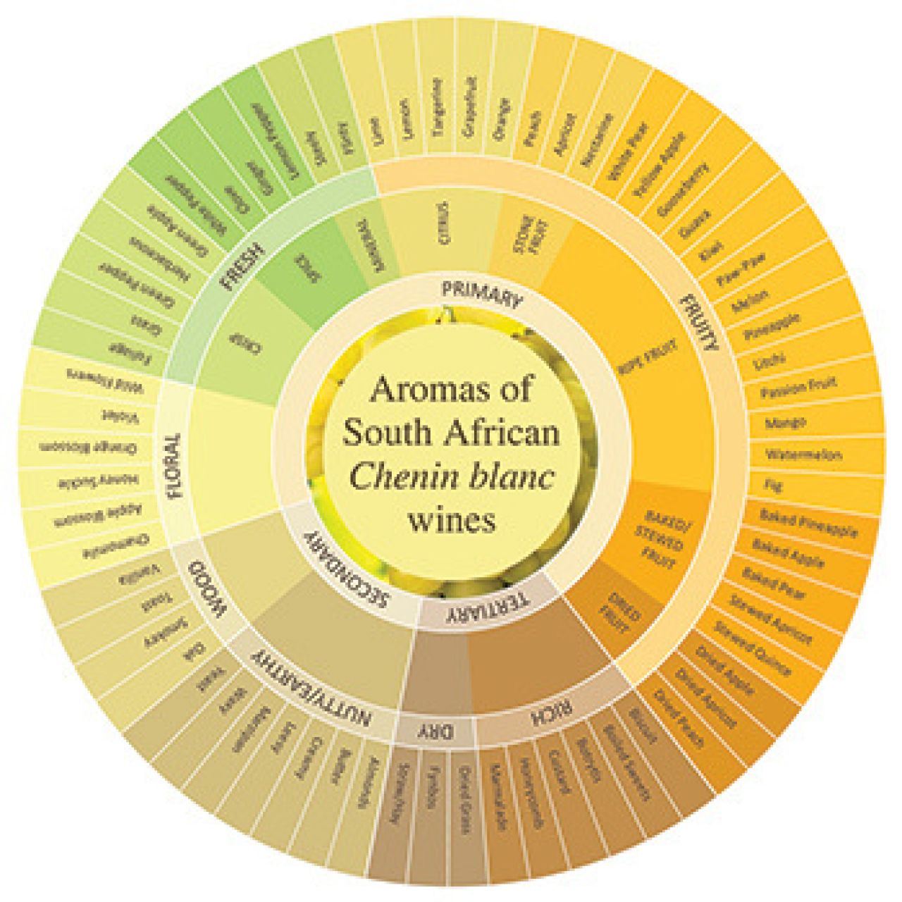 Chenin blanc Aroma wheel 2