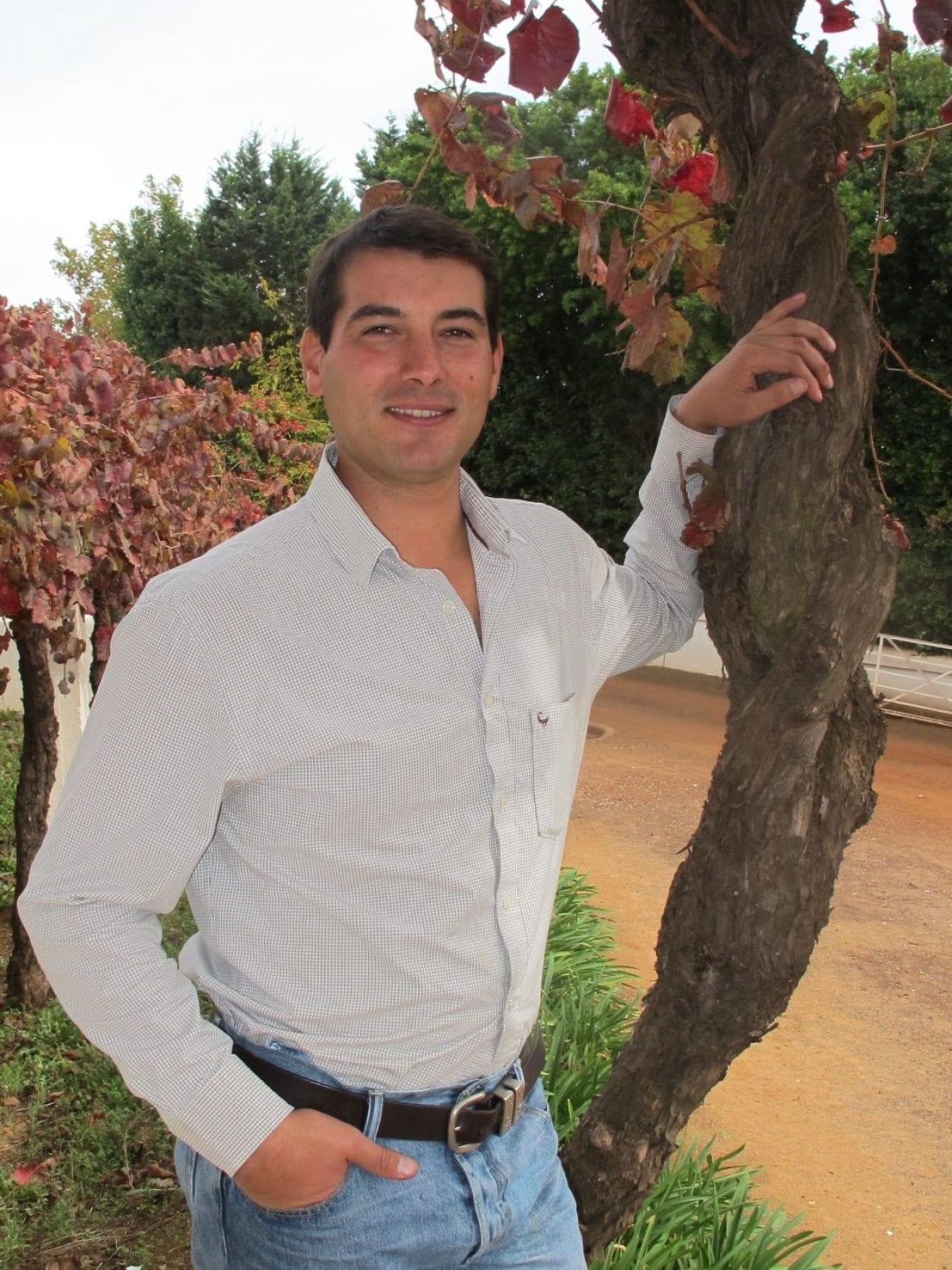 Thys Louw Diemersdal Wine Estate e1526035444762
