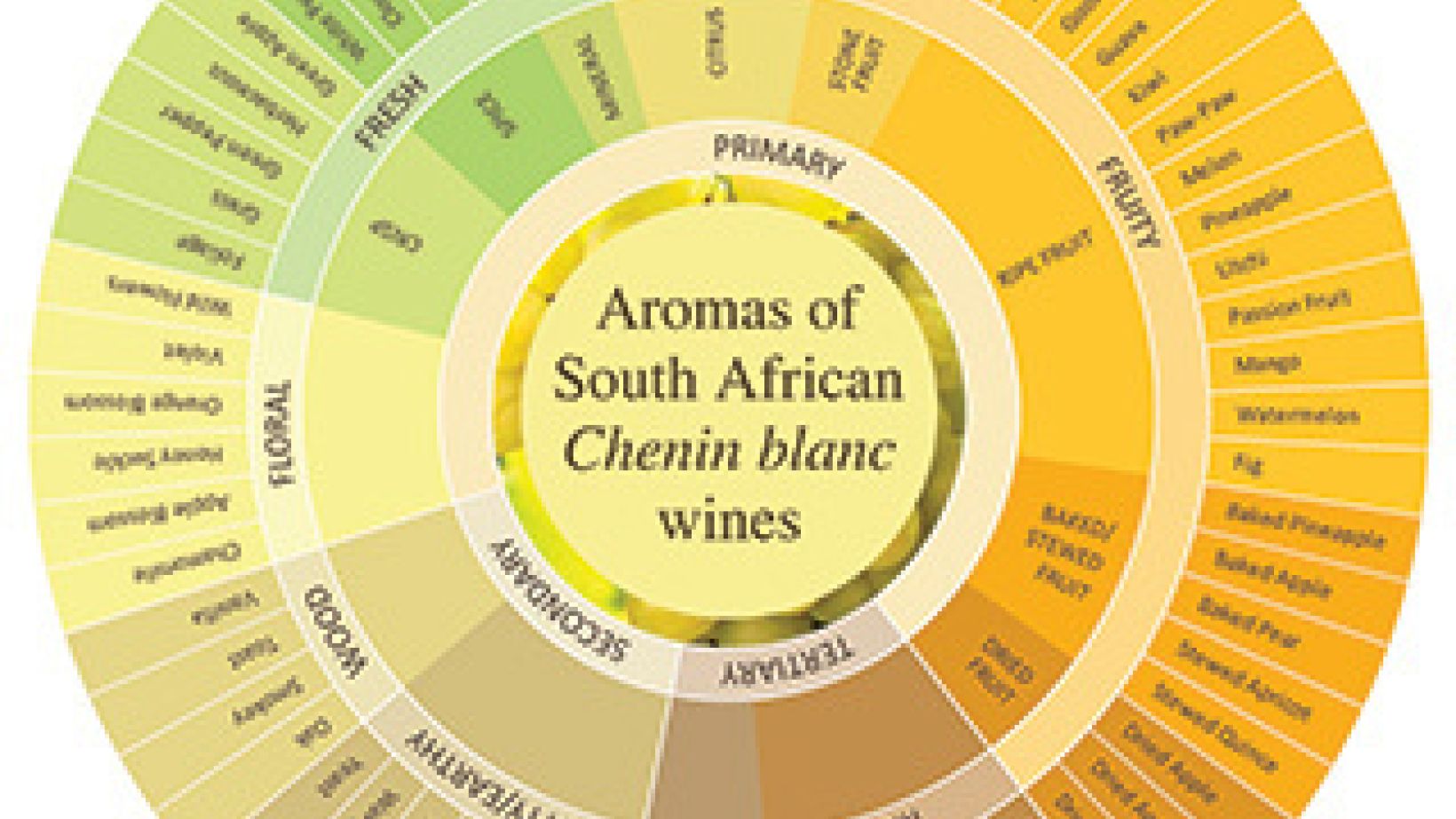 Chenin blanc Aroma wheel