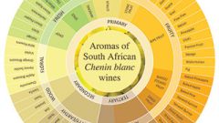 Chenin blanc Aroma wheel