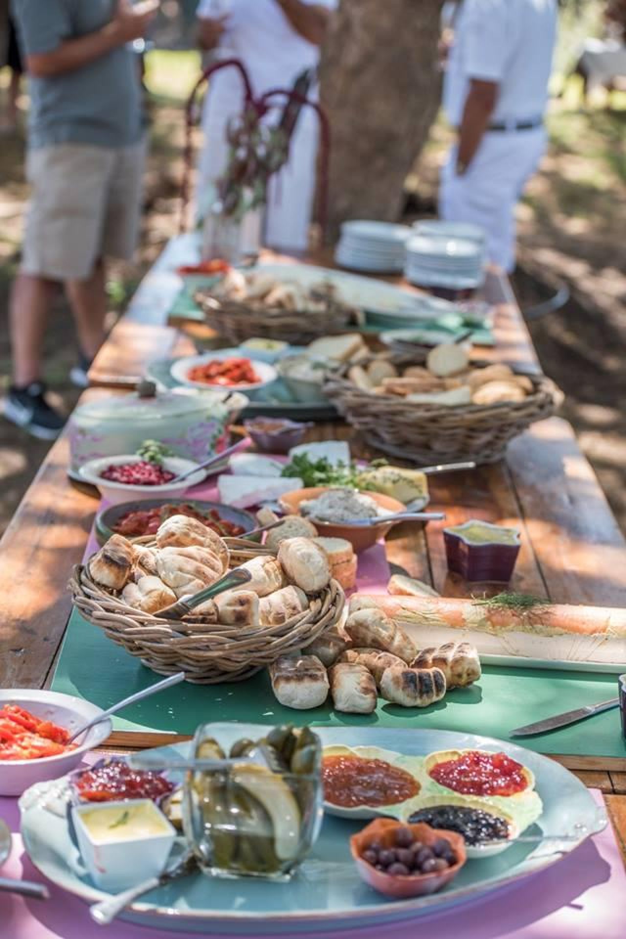 Country Cuisines 2