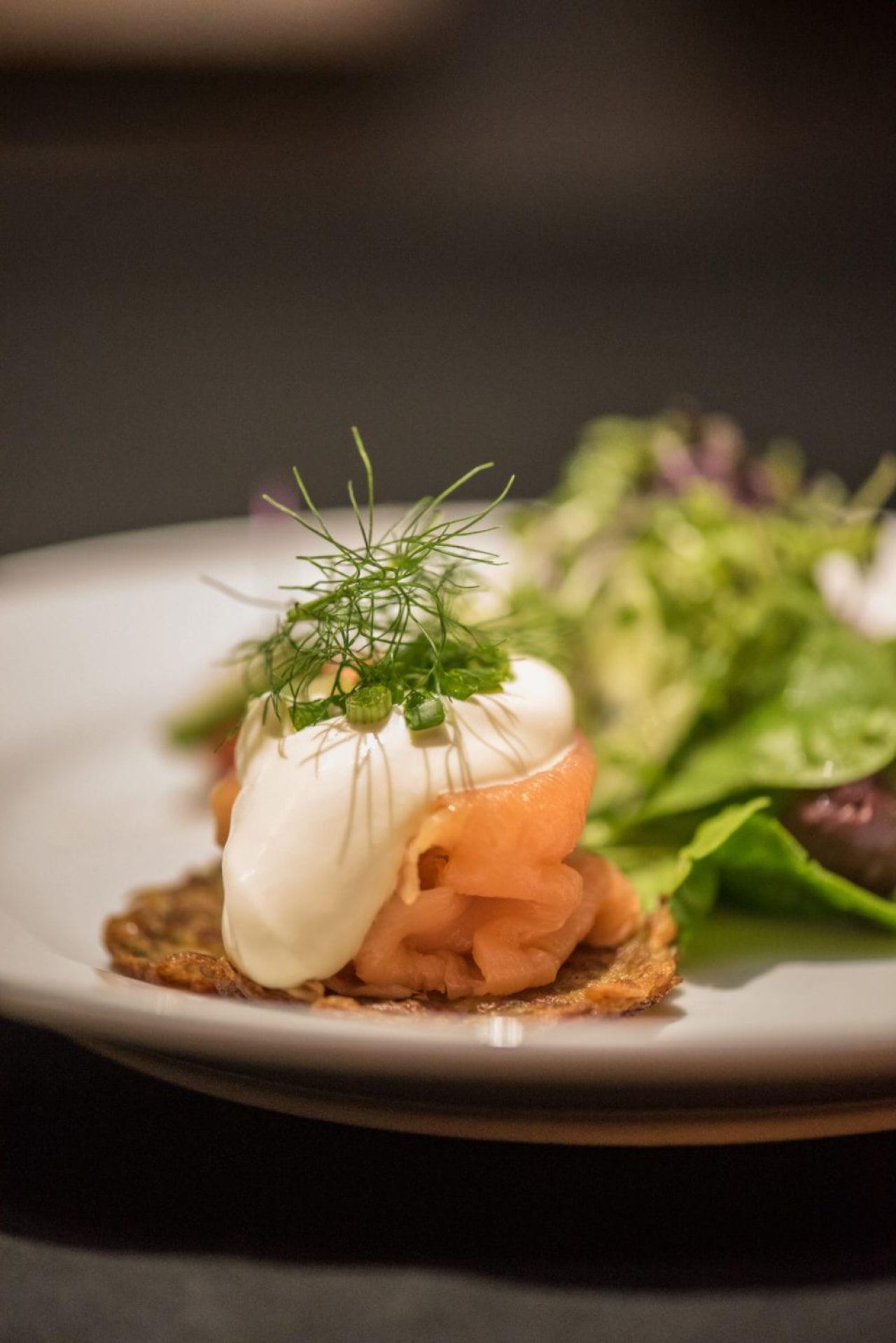 Slow Food Wine