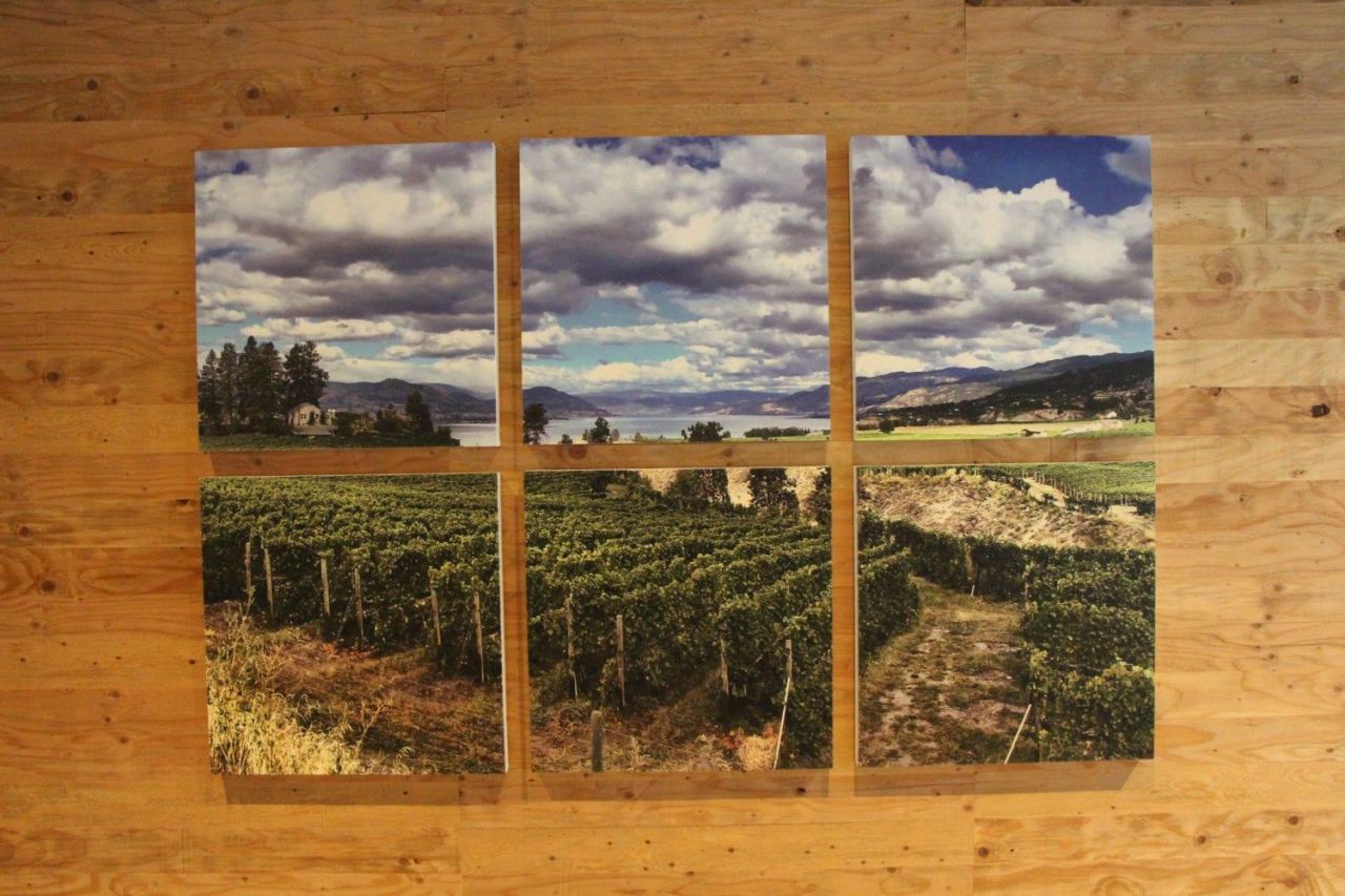 Sandhill Winery2