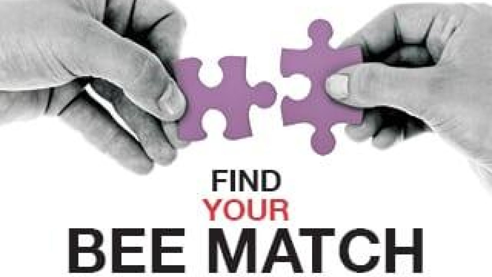 BEE Match