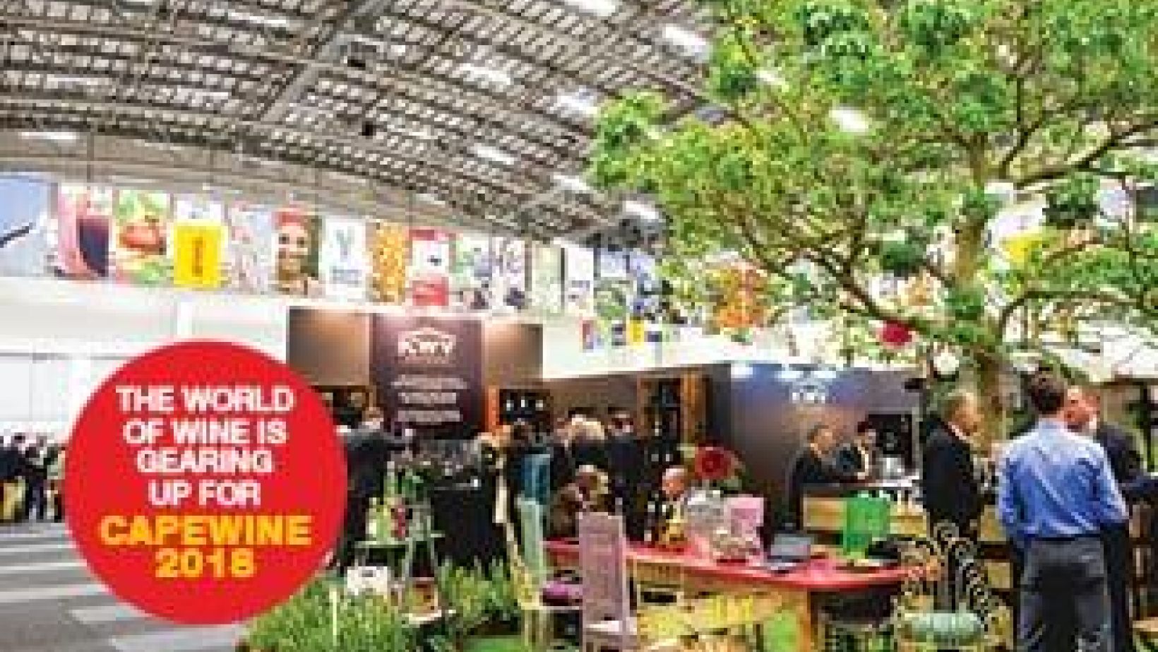 Cape Wine