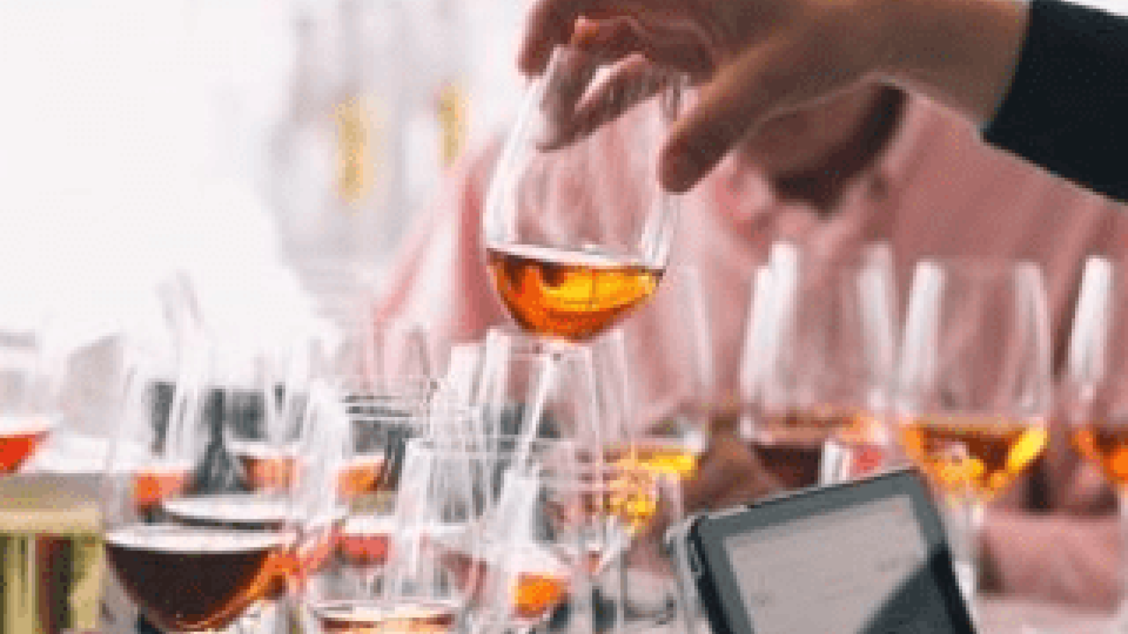 DWWA 2018