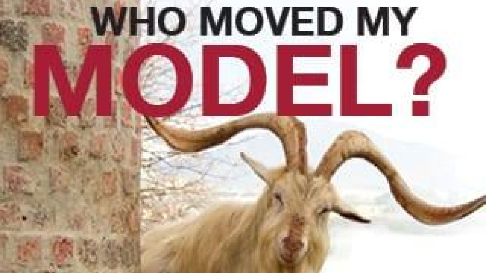 Model