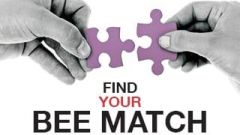 BEE Match
