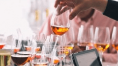 DWWA 2018