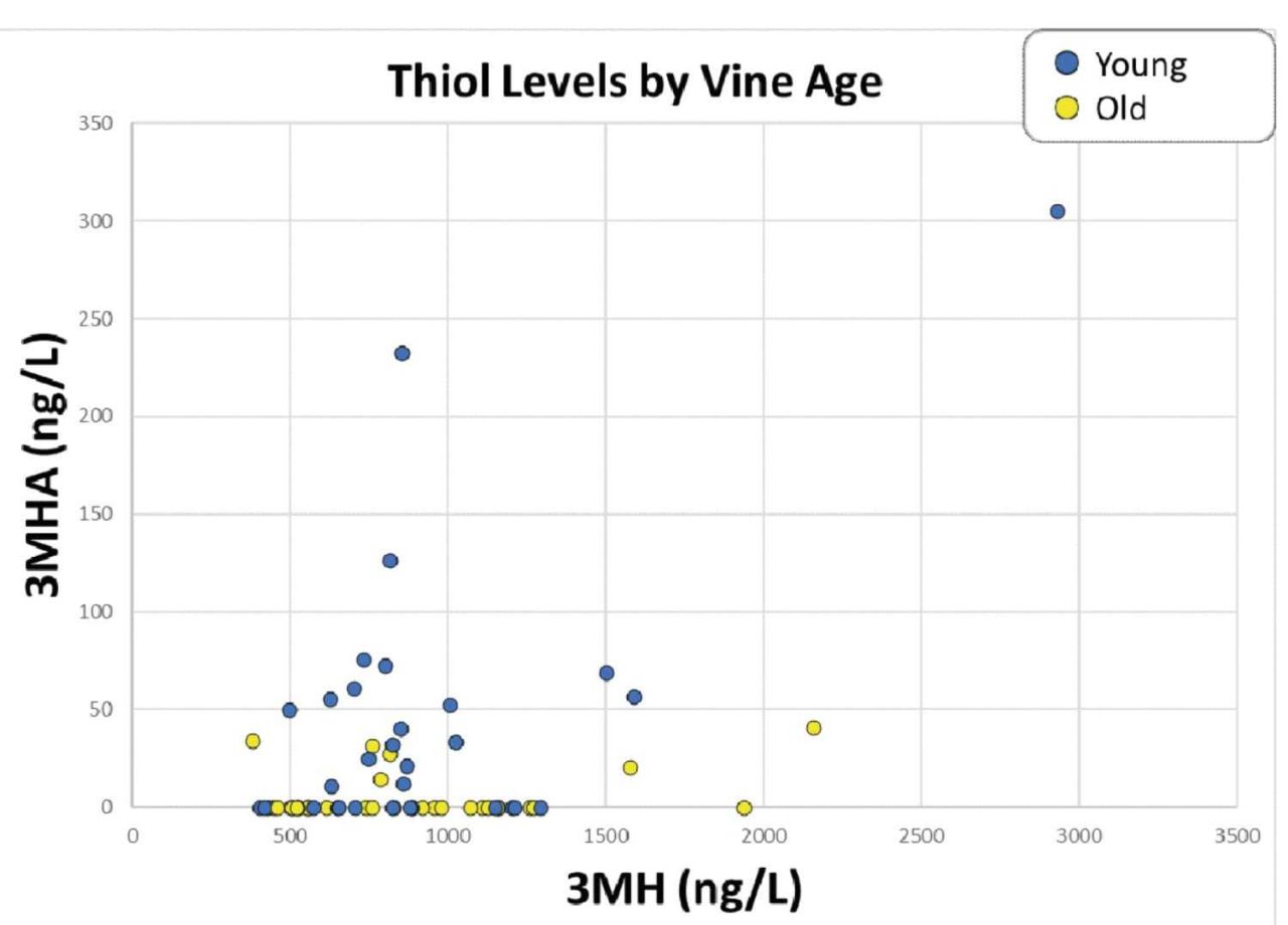 Thiol fig2