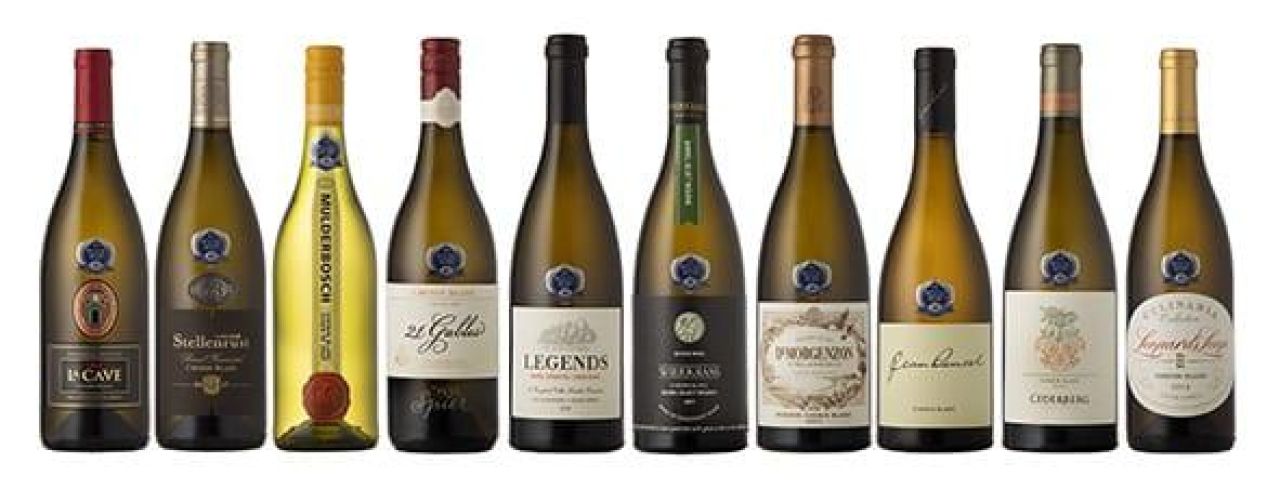 2018 Standard Bank Chenin Blanc Top 10 finalists group image LR