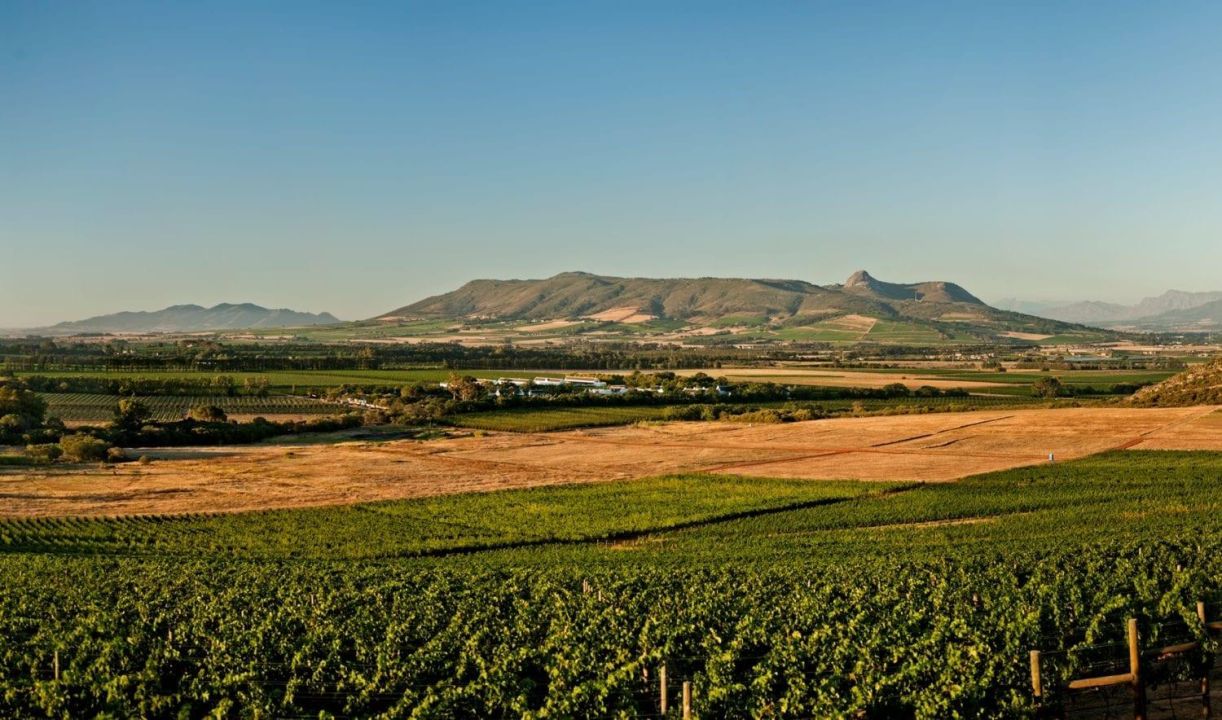 Paarl Wine Route