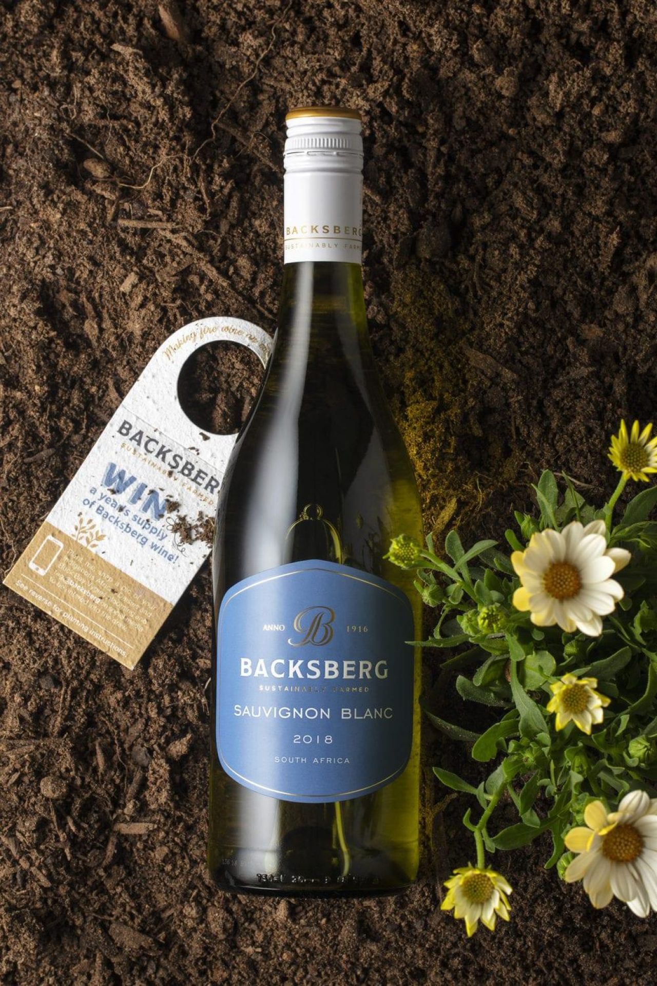 SML Backsberg Sauvignon Blanc 2018 Seeded Neck Tag Veritical