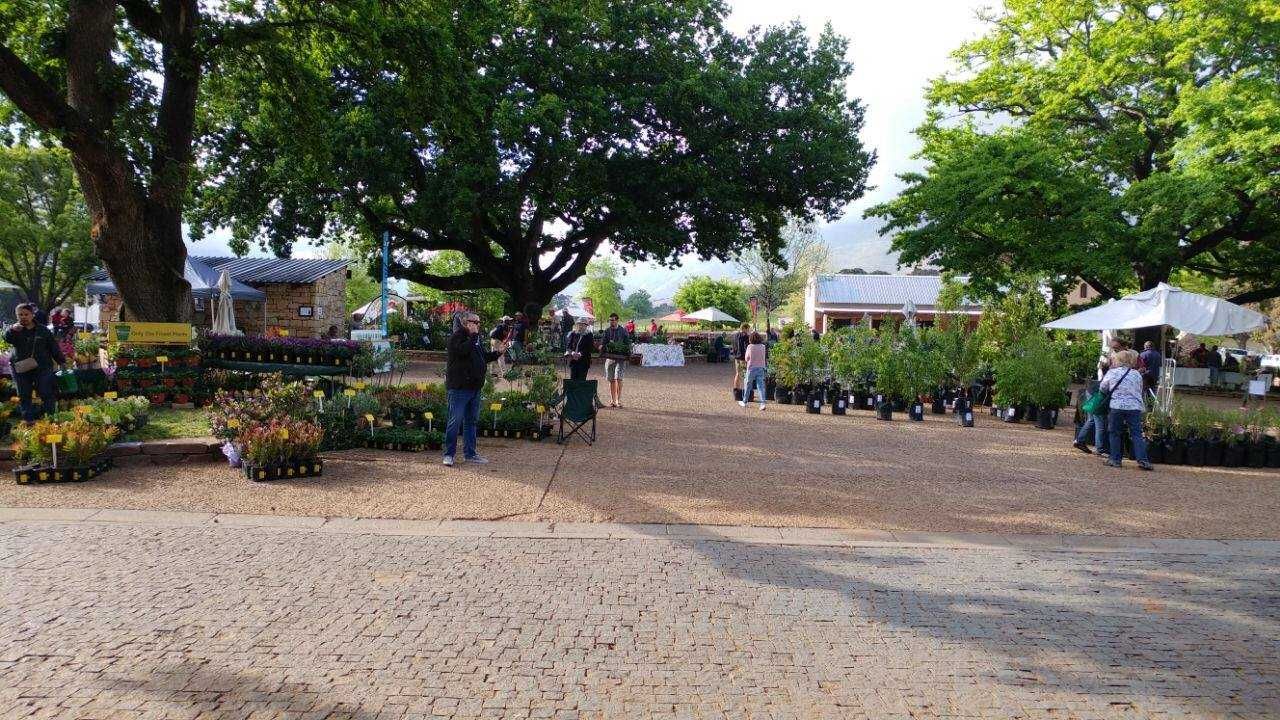 TOKARA Open Garden and Rare Plant Sale