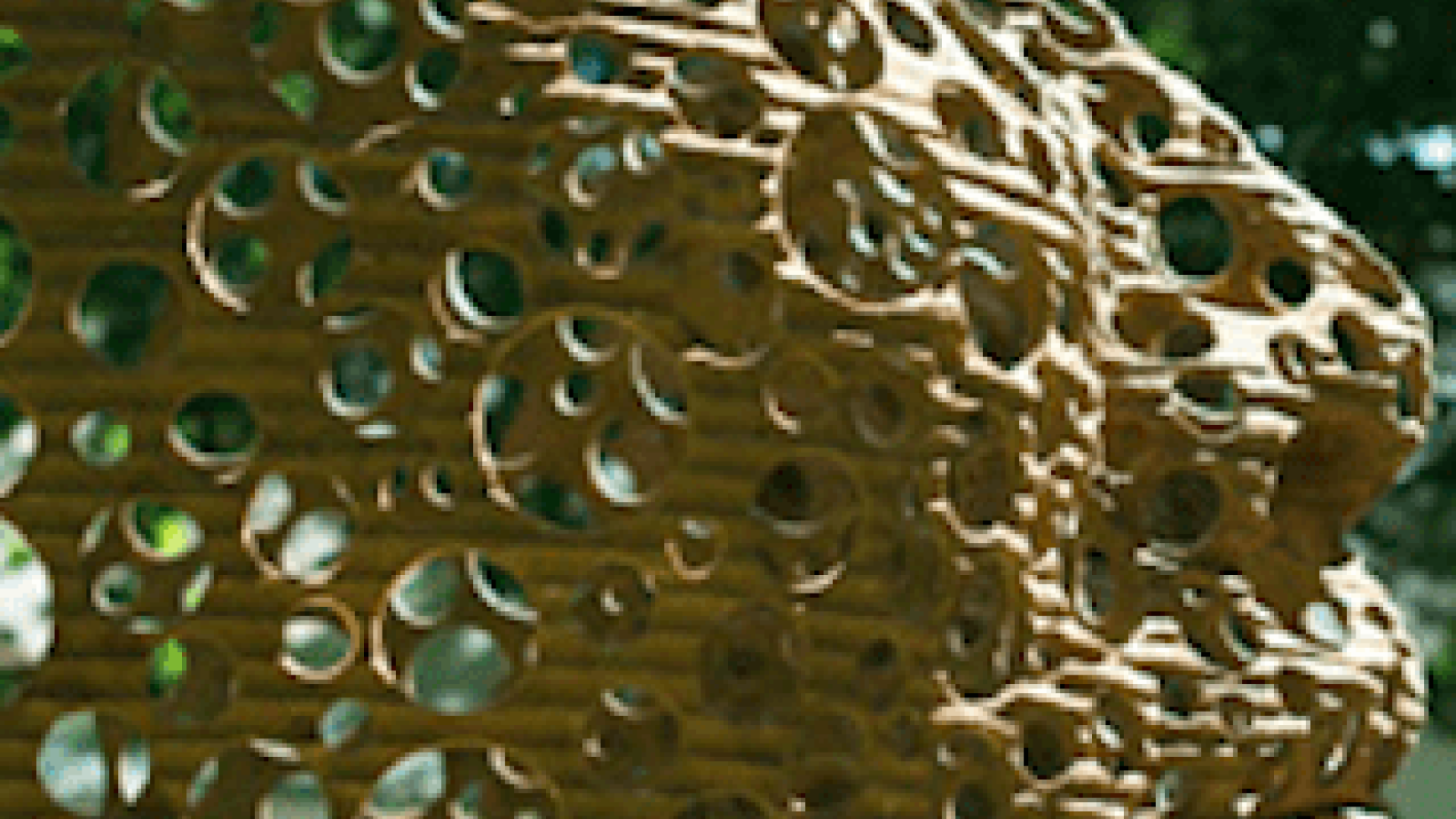 Screen Shot 2018 09 03 at 3 17 16 PM