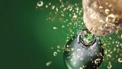 Organic acids