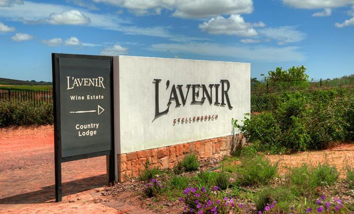 Lavenir1