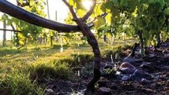 Climate Change Oktober