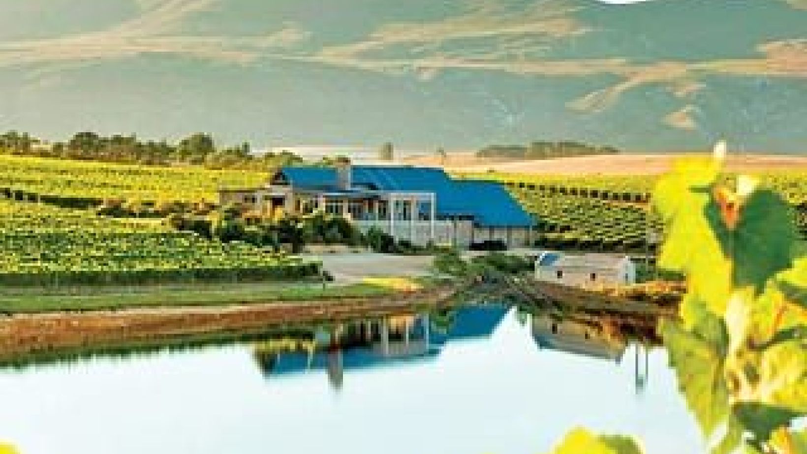 Wine Tourism