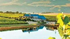 Wine Tourism