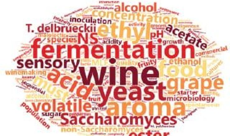 Non Saccharomyces