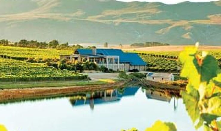 Wine Tourism