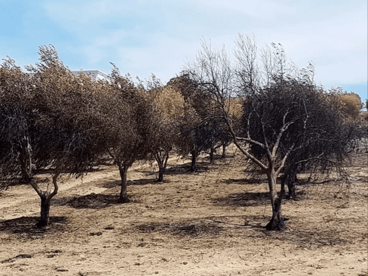 Screenshot 2019 01 15 at 09 01 09