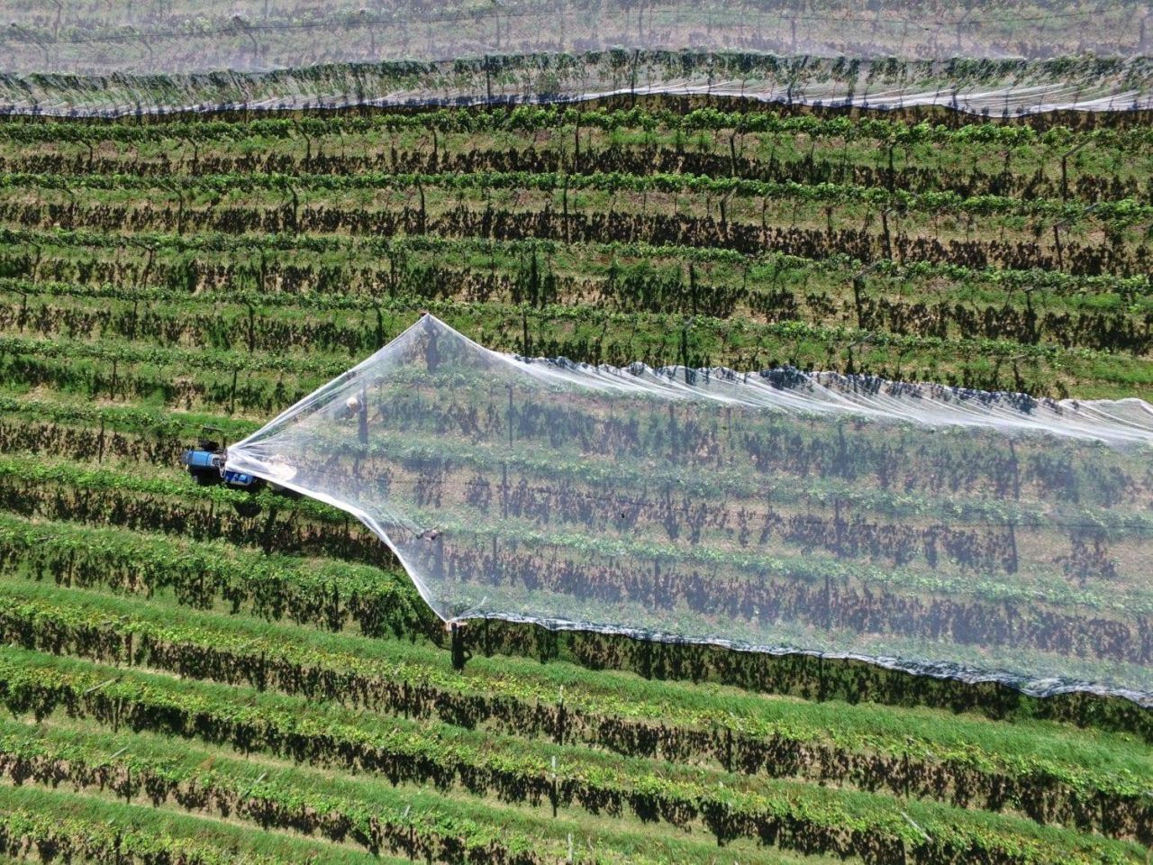 Agriculture