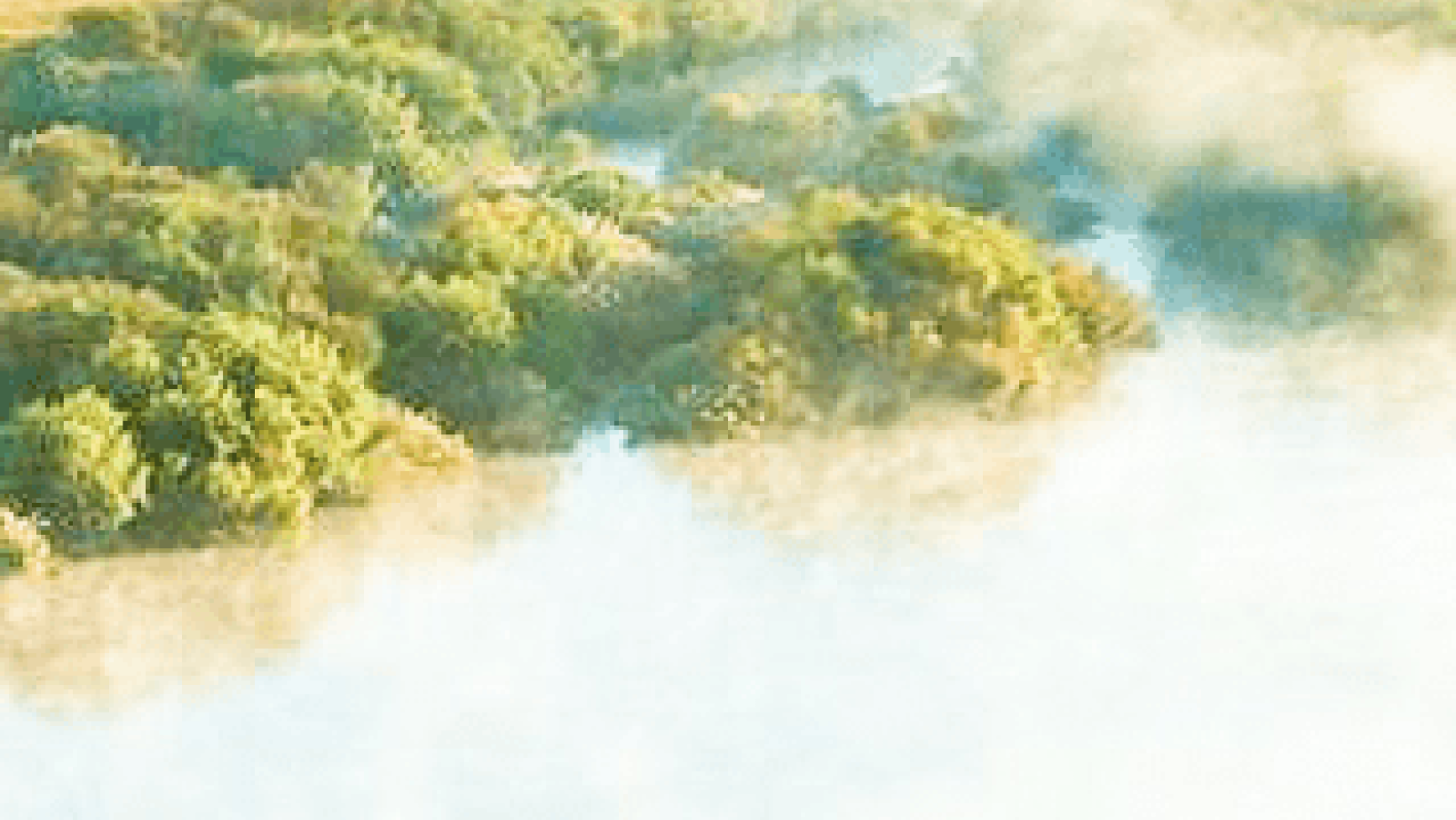 Screenshot 2019 02 22 at 09 31 42