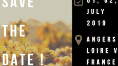 Screenshot 2019 02 06 at 14 00 34