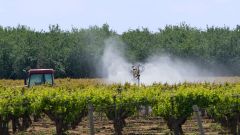 Vineyard spray min