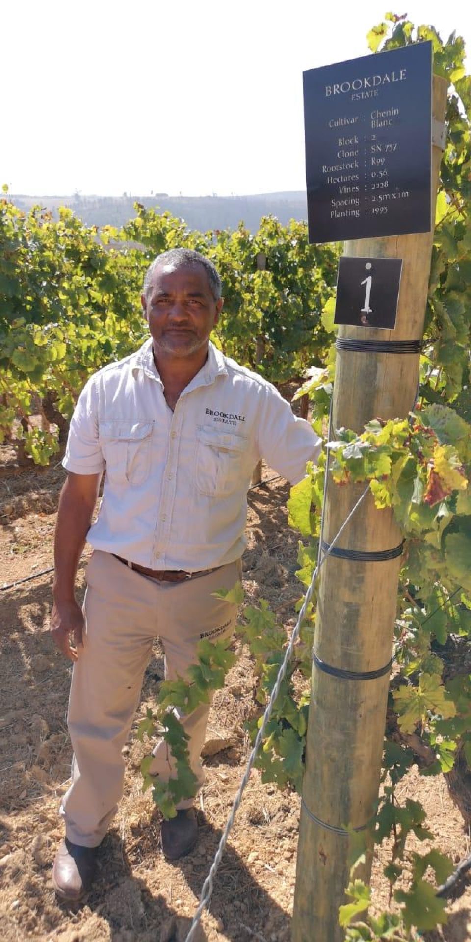 Winetraining2